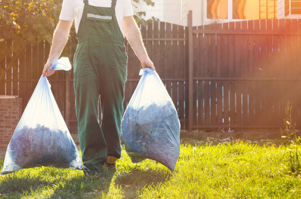 Best Carpet Removal and Disposal  in Lincoln Park, MI